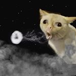 Profile Picture of Николай Дяченко (@mikolla_lol) on Instagram