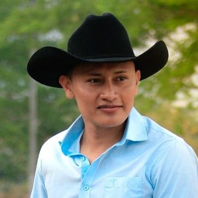 Profile Picture of FERNANDO UVA (@fernandouva1) on Twitter
