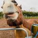Profile Picture of Hazel McLean (@hazelm100573) on Pinterest