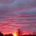 Profile Picture of Austin Farrow (@farrowaf) on Pinterest