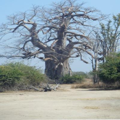 Profile Picture of Mark Stacey (@Airwayman1) on Twitter