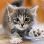 Profile Picture of Jeff 33BB (@alejandro1202cruz) on Pinterest