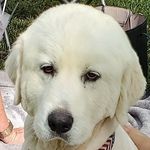 Profile Picture of Eric Marshall (@ericmarshall3063) on Instagram