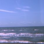 Mia Rojas - Instagram Profile Picture of Mia Rojas (@miarojasings) on Instagram