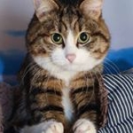 Profile Picture of David Michael Parmelee (@davidishere86) on Instagram