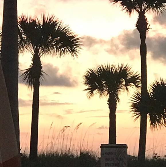 Profile Picture of Anna Rolfes-pryor (@apryor6612) on Poshmark