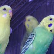 Profile Picture of Monica Pando (@monicapando8515) on Youtube