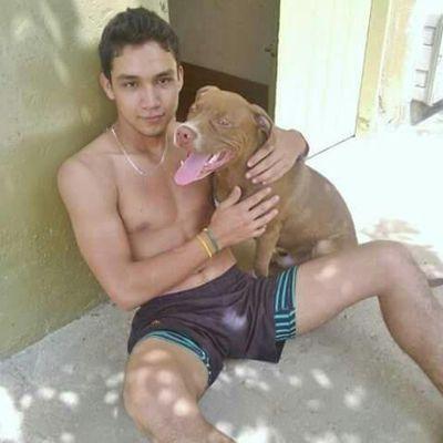 Profile Picture of David Orjuela (@davidorjuela094) on Twitter