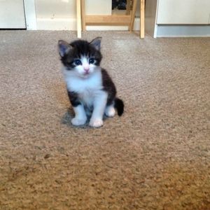 Profile Picture of Alexis Hayes (@120504977) on Myspace