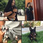 Profile Picture of BRYAN / LUNA / LUMA (@animais_d_bru) on Instagram