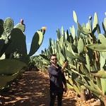 Profile Picture of Brett O'Donnell (@bodctnz_) on Instagram