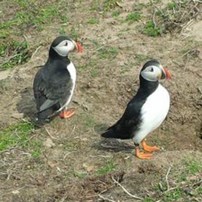 Profile Picture of Richard Botting (@botty060) on Twitter