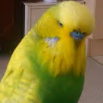 Profile Picture of Bart Bounds (@bart.bounds.5) on Facebook