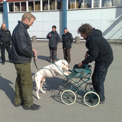 Profile Picture of Lars Erik Bye (@Slash75) on Twitter