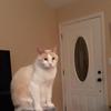 Profile Picture of patcoffey2 (@@patcoffey2) on Tiktok