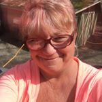 Tammy Hoover McGavin - Instagram Profile Picture of Tammy Hoover McGavin (@tamimcgavin) on Instagram