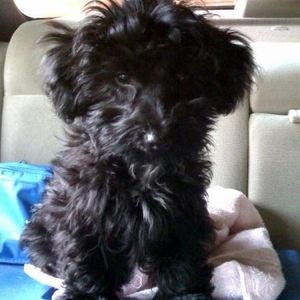 Profile Picture of Michael Baldassarre (@mibaldi) on Myspace