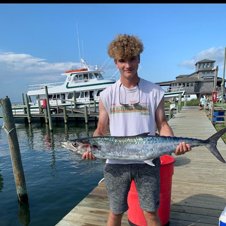 Profile Picture of Andrew Prouty (@andrewprouty) on Tiktok