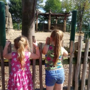 Profile Picture of Chris Mooneyhan (@MooneyhanChris) on Twitter