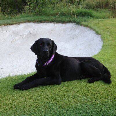 Profile Picture of Bryan Brinkman (@bbrinkman5) on Twitter