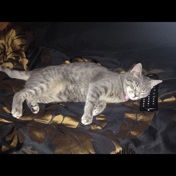 Steven Harrigan - Poshmark Profile Picture of Steven Harrigan (@kodakidd) on Poshmark