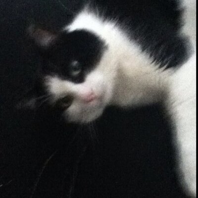 Profile Picture of James Winchell (@domo7890) on Twitter
