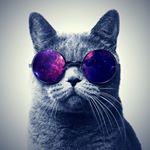 Profile Picture of Adam Schlosser (@adam.schlosser) on Instagram