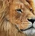Profile Picture of Fernando Leon (@fernando.leon.524934) on Facebook