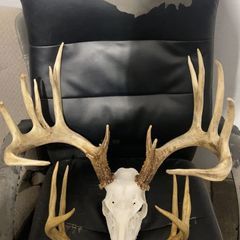 Profile Picture of trump2024 (@andrewbyler) on Tiktok