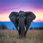Profile Picture of Amanda Bloch (@amanda.bloch.14) on Instagram