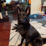 Profile Picture of Brad Kirk (@birdley_kirk) on Instagram