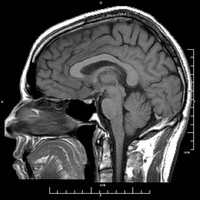 Profile Picture of Michael Warrington (@michael-warrington-6) on Quora