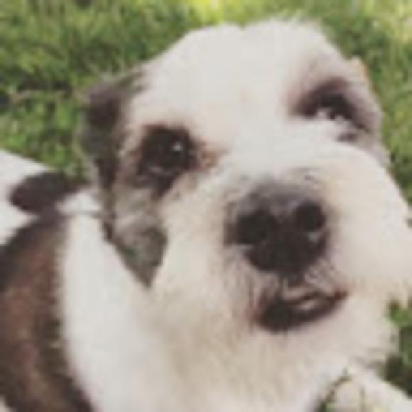 Profile Picture of Angela Arnell (@angelaarnell) on Poshmark