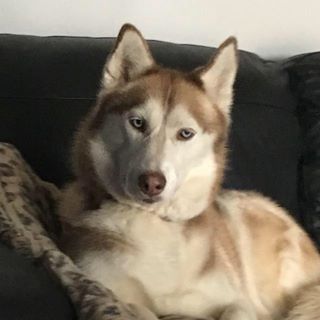 Profile Picture of Colin Brook (@colin.brook.5) on Facebook