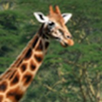 Profile Picture of Peter Gates (@peter-gates-51) on Quora
