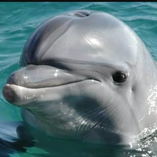 Profile Picture of dave Richards (@dave.richards) on Instagram