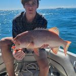 Profile Picture of Connor Griffiths (@_connor.griffiths_) on Instagram