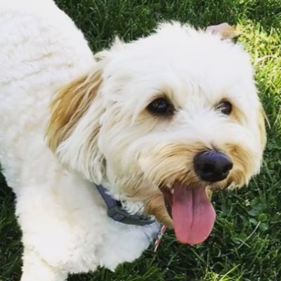 Profile Picture of TongYao@Germany (@TongYaoGermany1) on Twitter