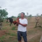 Profile Picture of Albert Pala (@Albert-Pala) on Facebook