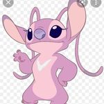 Abigail Sammelman - Instagram Profile Picture of Abigail Sammelman (@sammelmanabigail) on Instagram