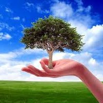 Profile Picture of Ahmad Fakhr (@ahmadFakhr5) on Twitter