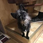 Profile Picture of Lori Bennett (@lori.bennett.10485) on Facebook