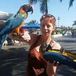 Profile Picture of Karin Imhof (@irishlady353) on Instagram