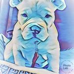 Profile Picture of Scott Britton (@scott.britton.359) on Instagram