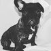 Profile Picture of Albert Branderbura (@abranderbura) on Pinterest