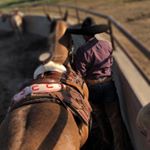 Profile Picture of Jose Esquivel (@esquivel__jose) on Instagram