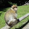 Profile Picture of Adam Mcclurg (@adammcclurg) on Tiktok
