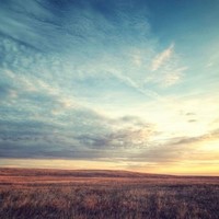 Profile Picture of Leo Su (@leo-su-41) on Quora