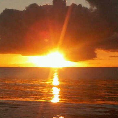 Profile Picture of Marcus Windsor (@tallguyana) on Twitter
