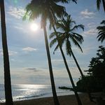 Joerg Kuhlmann - Instagram Profile Picture of Joerg Kuhlmann (@lomboki_kuhlmann) on Instagram